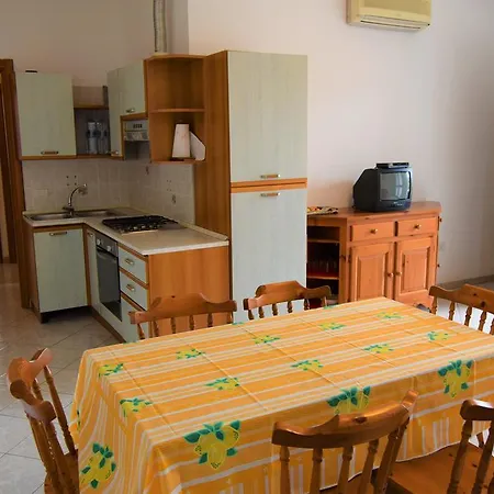 Cervi